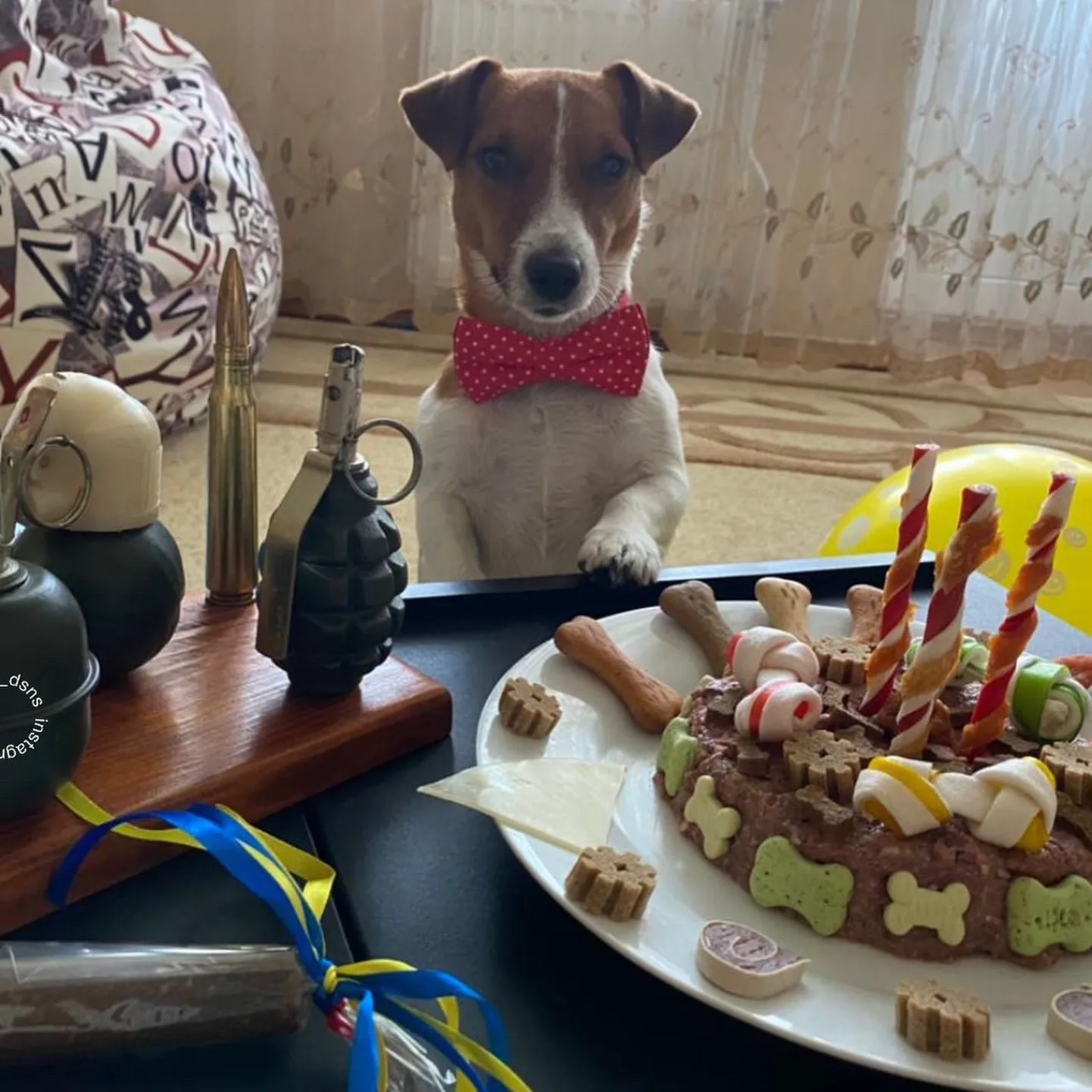 Raksta foto