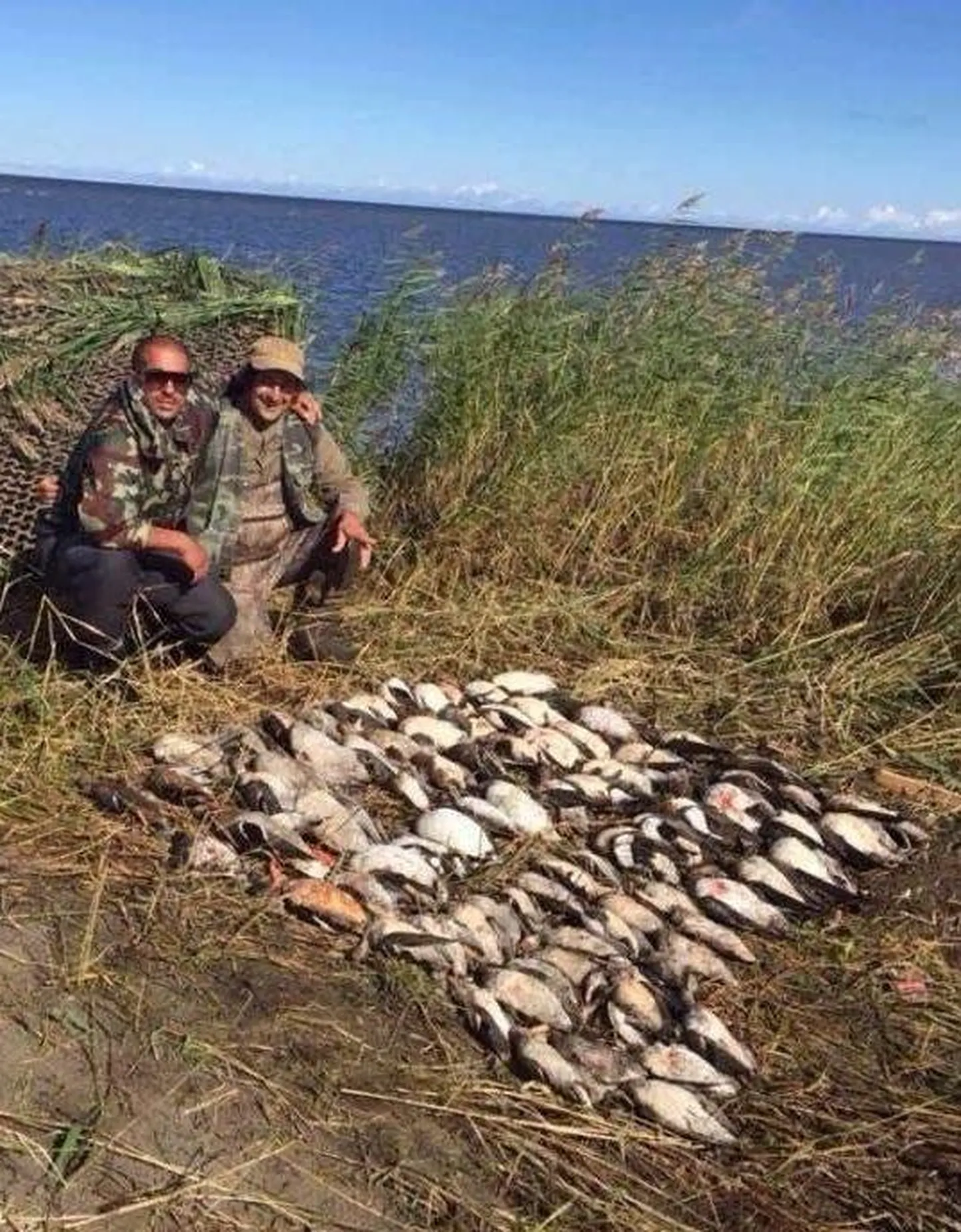 Loomakaitsjate seas on Kihnu saarel surnud lindude eksponeerinud Itaalia jahituristid palju pahameelt tekitanud.