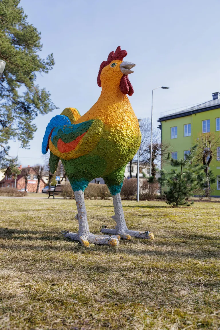 Hiiglaslik kukk kaunistab Valka kesklinna.
