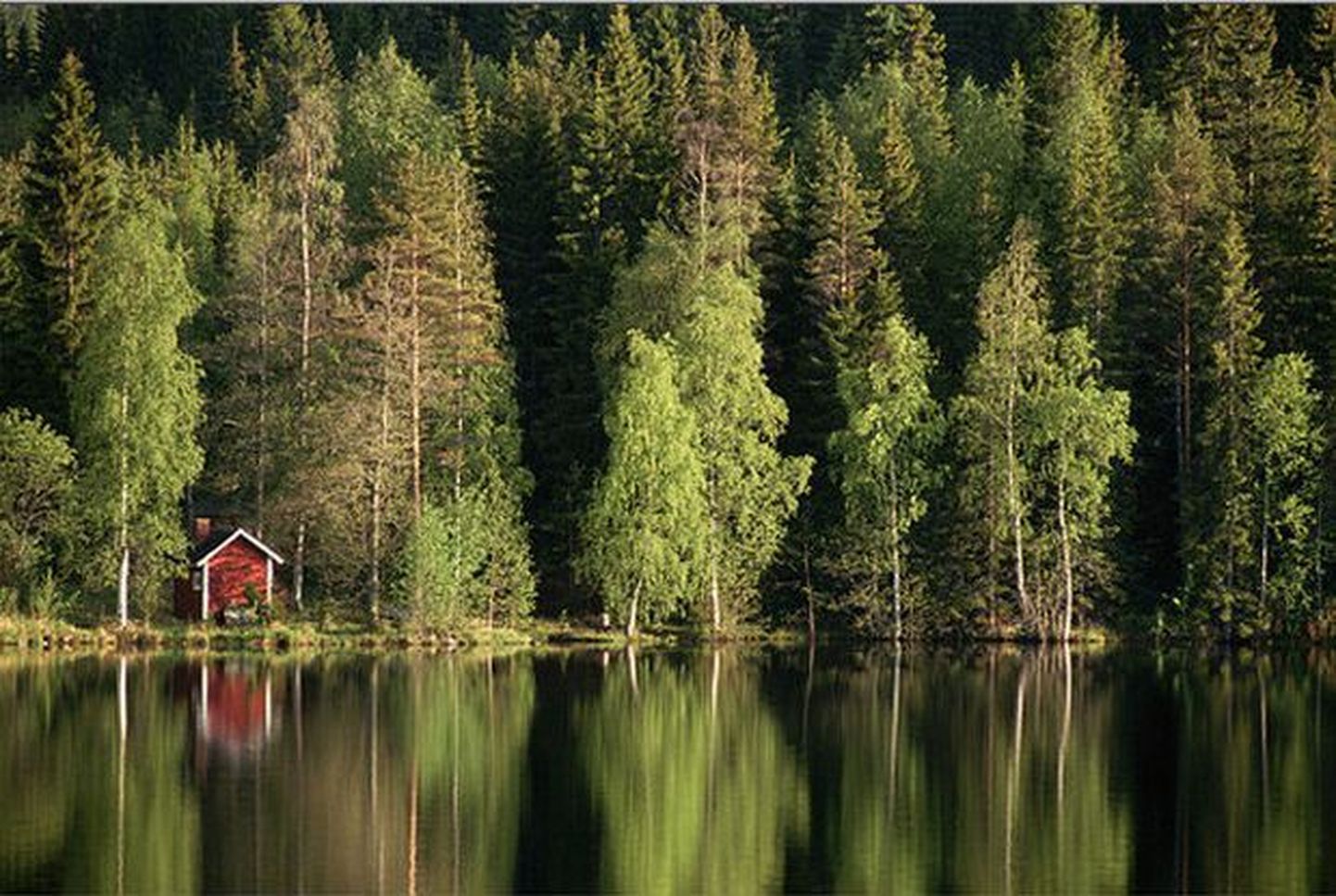 Saun Soomes järve kaldal