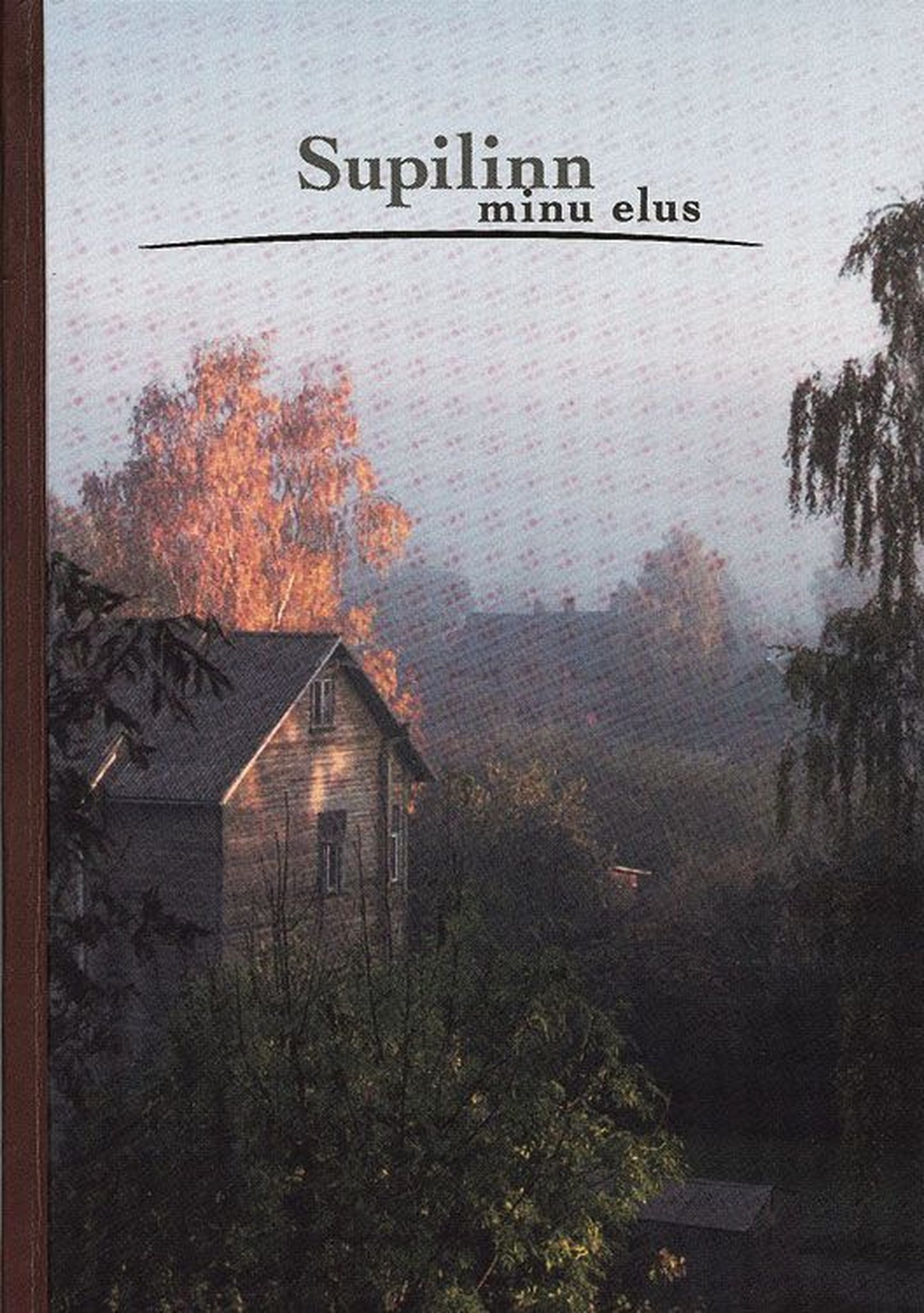 «Supilinn minu elus», koostanud Heiki Valk, 
illustreerinud Mari-Ann Remmel. 
Supilinna Seltsi Toimetised nr 1. 
Tartu, 2006. 
368 lk.