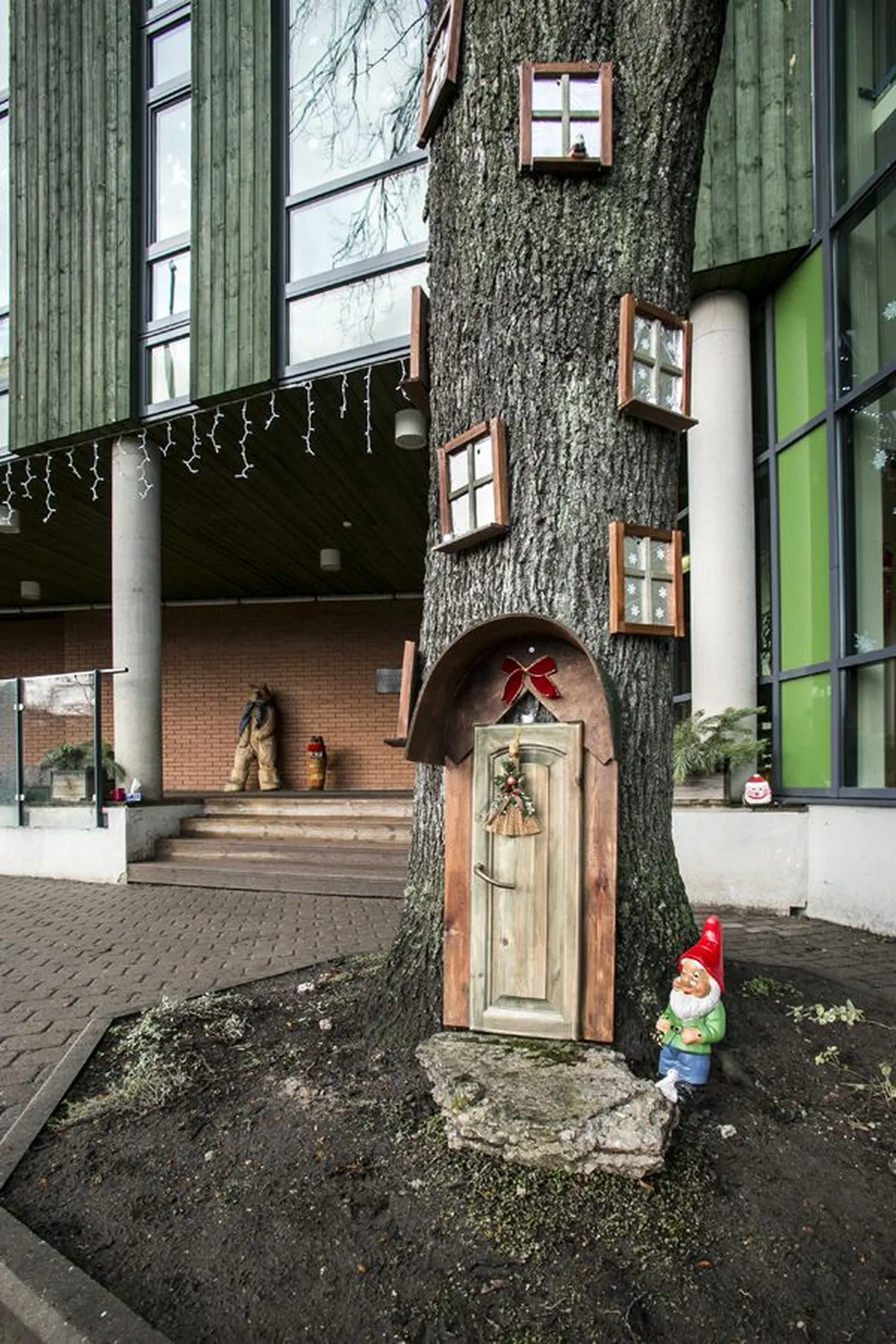 Mesimummu lasteaia uus hoone tehti puude pärast väiksem, sest puid osatakse seal hinnata ja neist rõõmu tunda. Ühest tammest on saanud päkapikumaja.