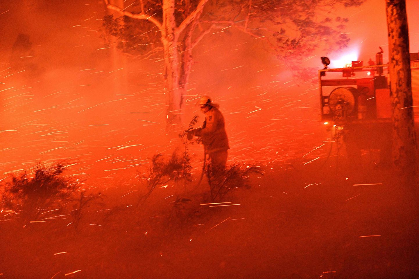 Tuletõrjuja Austraalias maastikupõlengut kustutamas. Illustreeriv