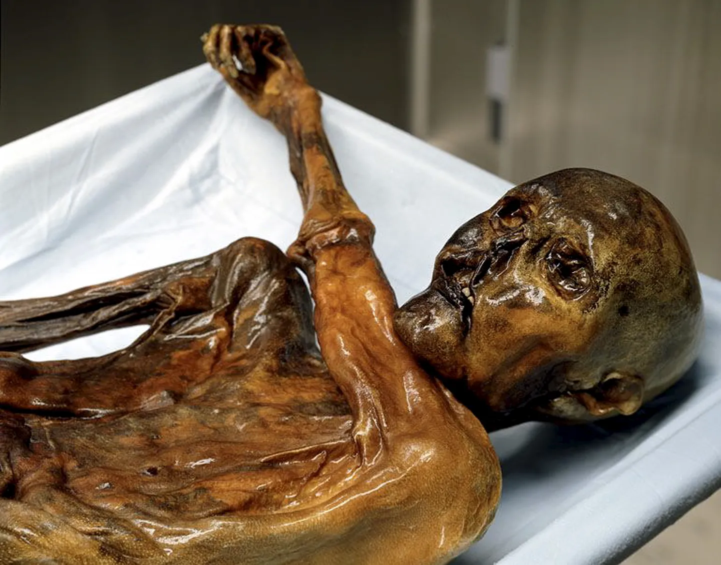Jäämees Ötzi leiti 1991 Itaalia-Austria piiril Ötztali Alpidest 1991