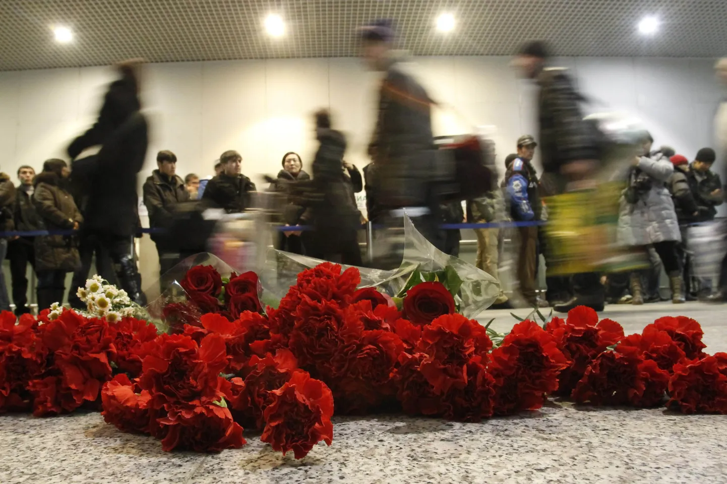 Punased nelgid Domodedovo lennujaamas