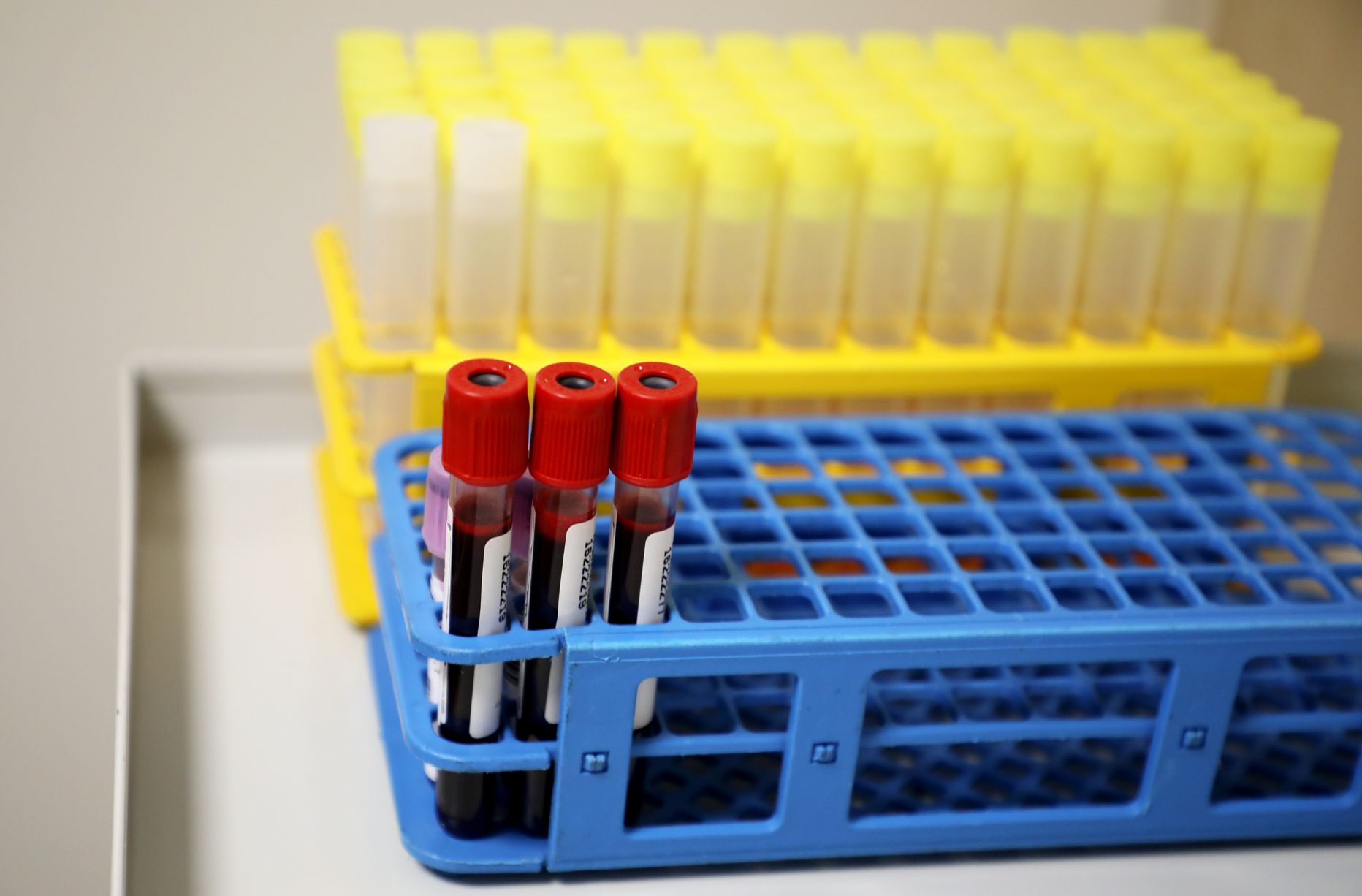 "E.Gulbja laboratorija" nav saņēmusi no valsts 2,8 miljonus eiro un