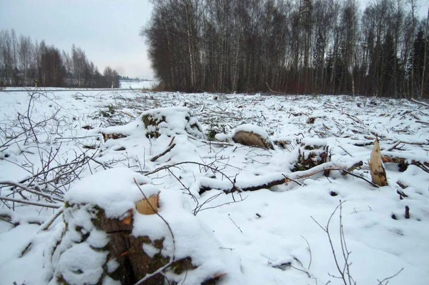 Lageraie Vooremaa maastikukaitsealal. Foto on illustreeriv.