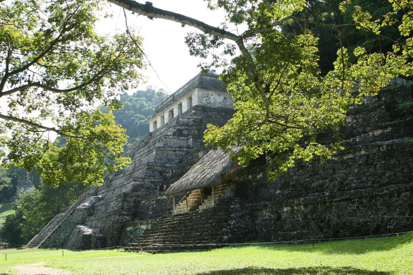 8. sajandil hävinud linnriigi Palenque varemed.