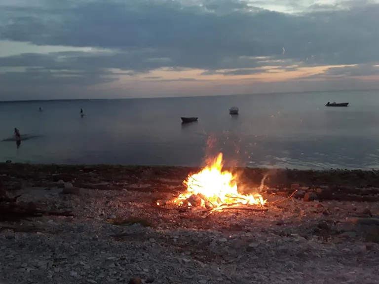 Artikli foto
