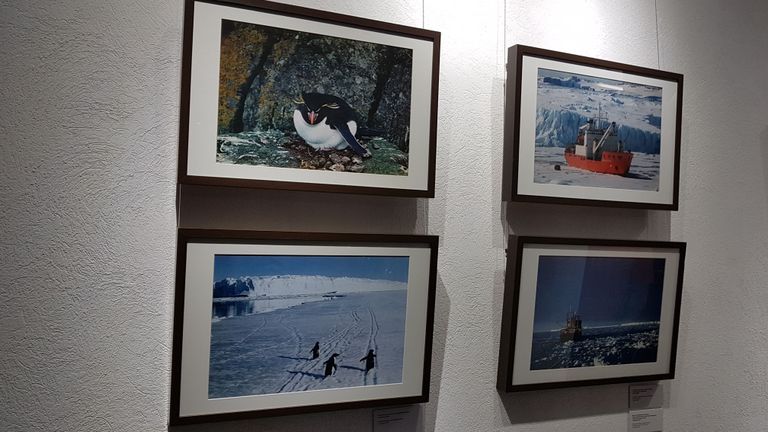 На выставке антарктических фотографий в Калининграде представлены многие снимки Энна Каупа.