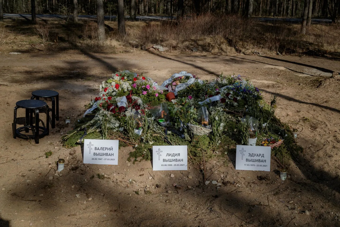 Koroonaviirusesse surnud perekonna haud Liiva kalmistul. Kui nakatumine suureks läheb, näeme suurte arvude korral ka sündmusi, mille tõenäosus üksikjuhu korral on üliväike, ütleb Krista Fischer.