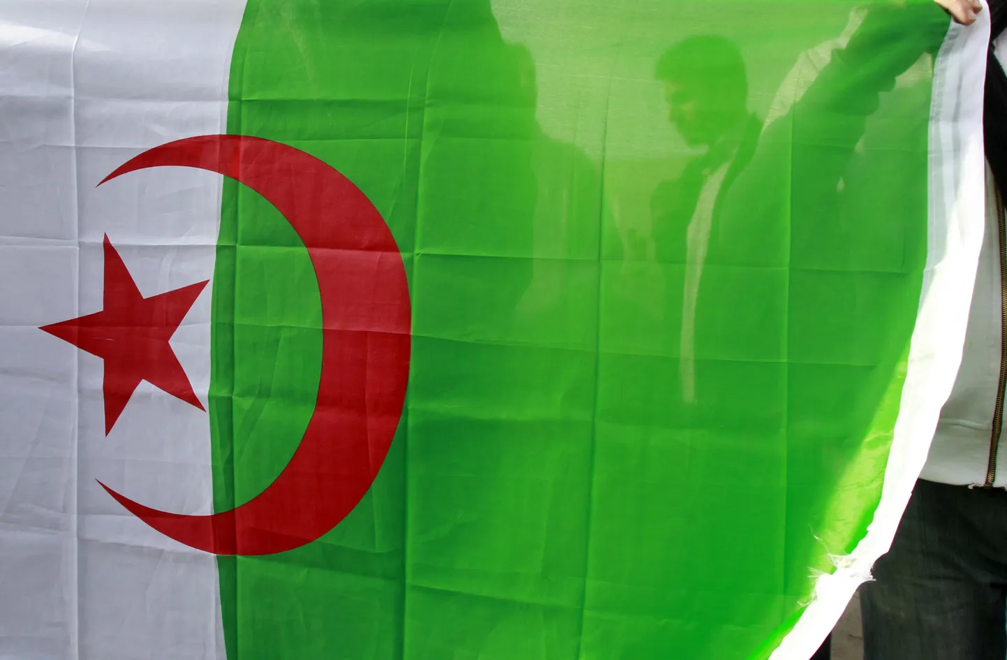Alžeeria lipp.
