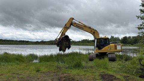 Rautina järv saab taas korraliku ujumiskoha