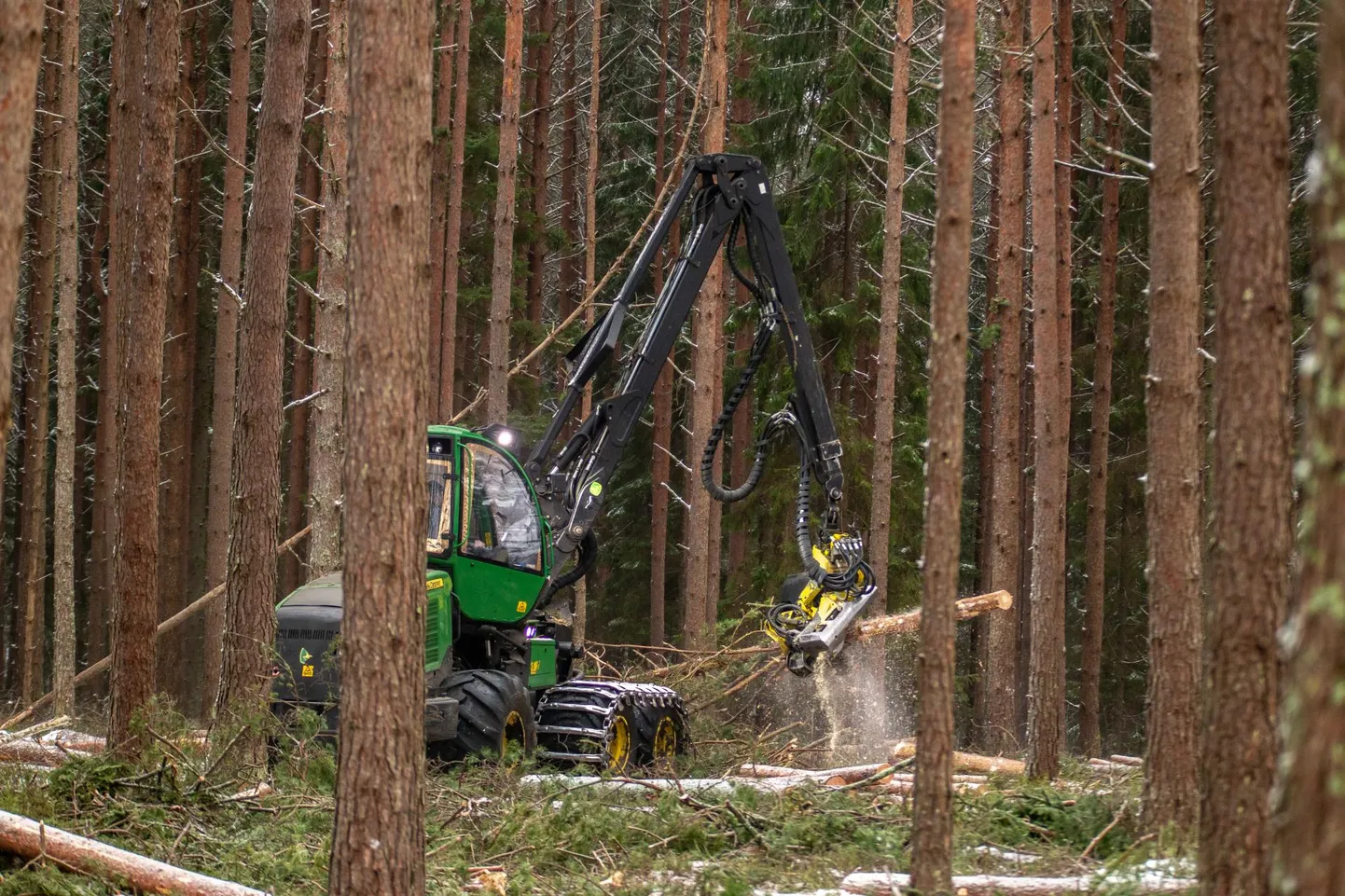 Riigimetsas vähendatakse uuendusraiete pindala järgneval viiel aastal 10 490 hektari pealt 9180 hektarile.
