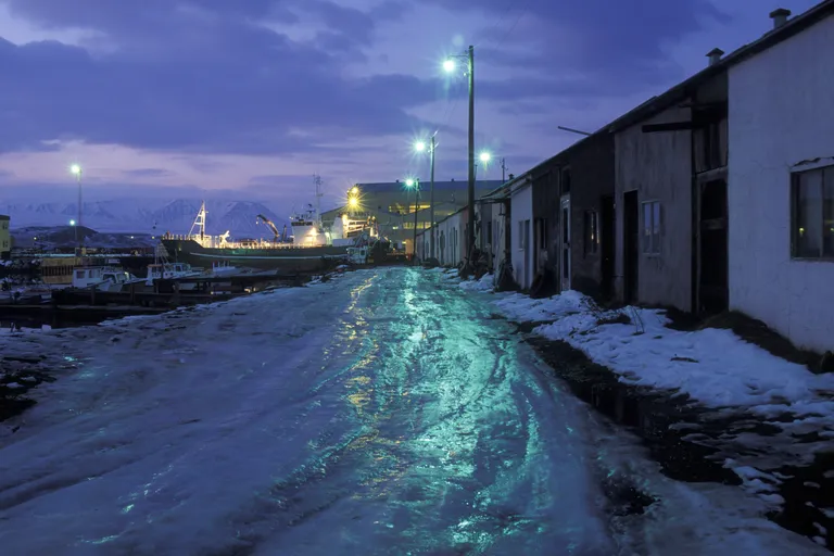 Artikli foto