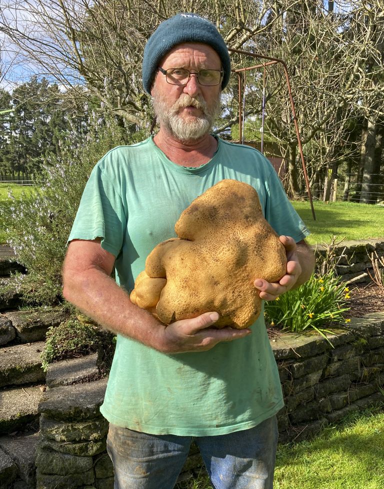 Uusmeremaalane Colin Craig-Brown hoidmas kartulit, mis tema sõnul kaalub 7,9 kilogrammi