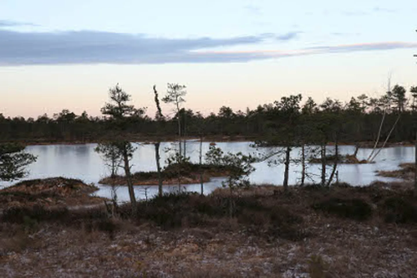 Seni pole kaevandamine Selisoole märgatavat mõju avaldanud, küll aga tuleb vanad kuivendussüsteemid sulgeda või lasta kinni kasvada.