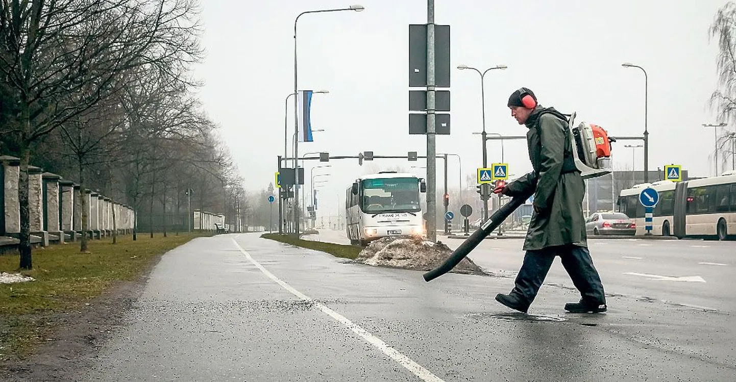 Edaspidi võib lehepuhurit tänavatel kasutada vaid puulehtede kokku kogumiseks, sellega niisama tolmutamine on keelatud.