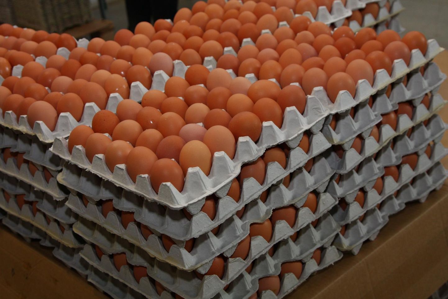 Läti munatootja Balticovo andtis teada, et loobub kanade puuris pidamisest ja parandab munatootmist.