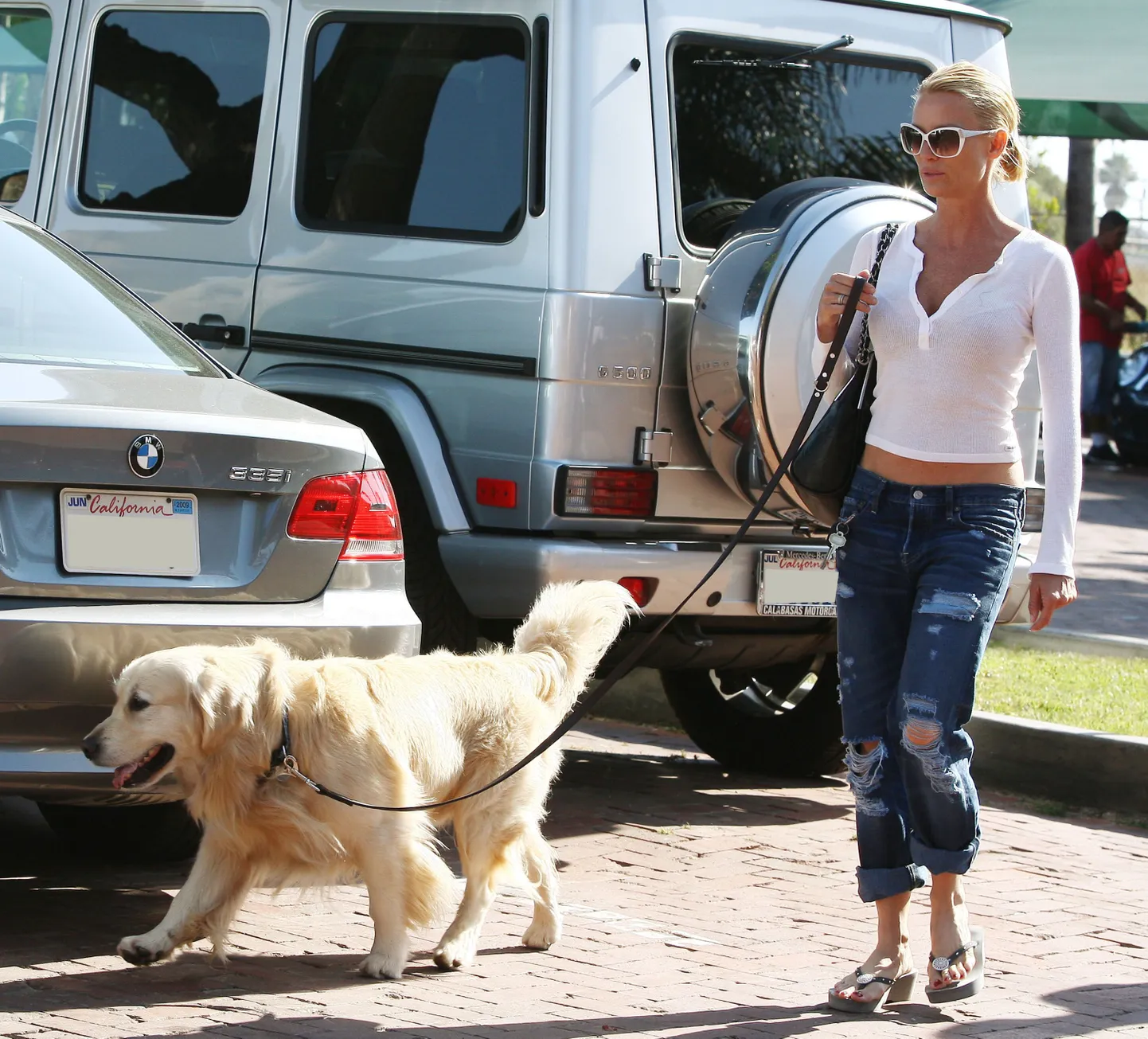 Nicollette Sheridan