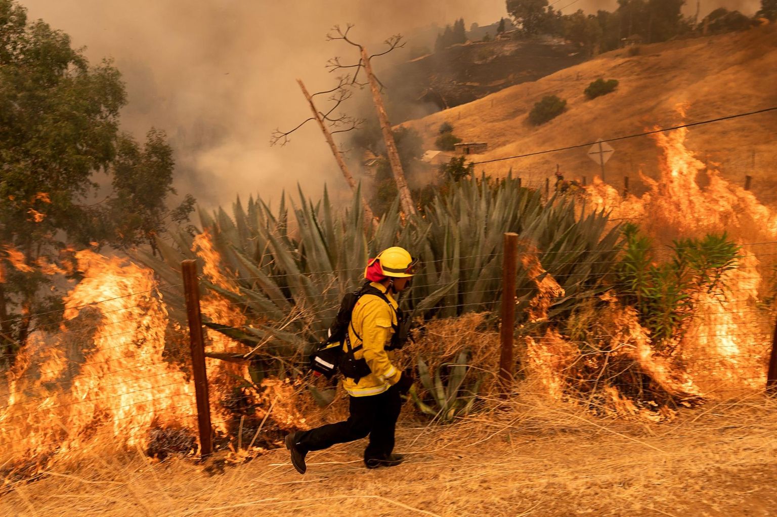 Tuletõrjuja võitlemas kiiresti leviva maastikupõlengu leekidega Californias Vacaville’is. 