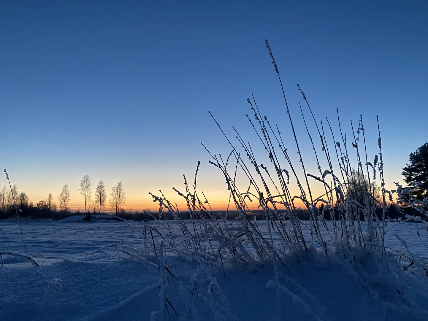 7. detsembri hommik Valga vallas Jaanikeses, kus õhutemberatuur oli -26 kraadi.