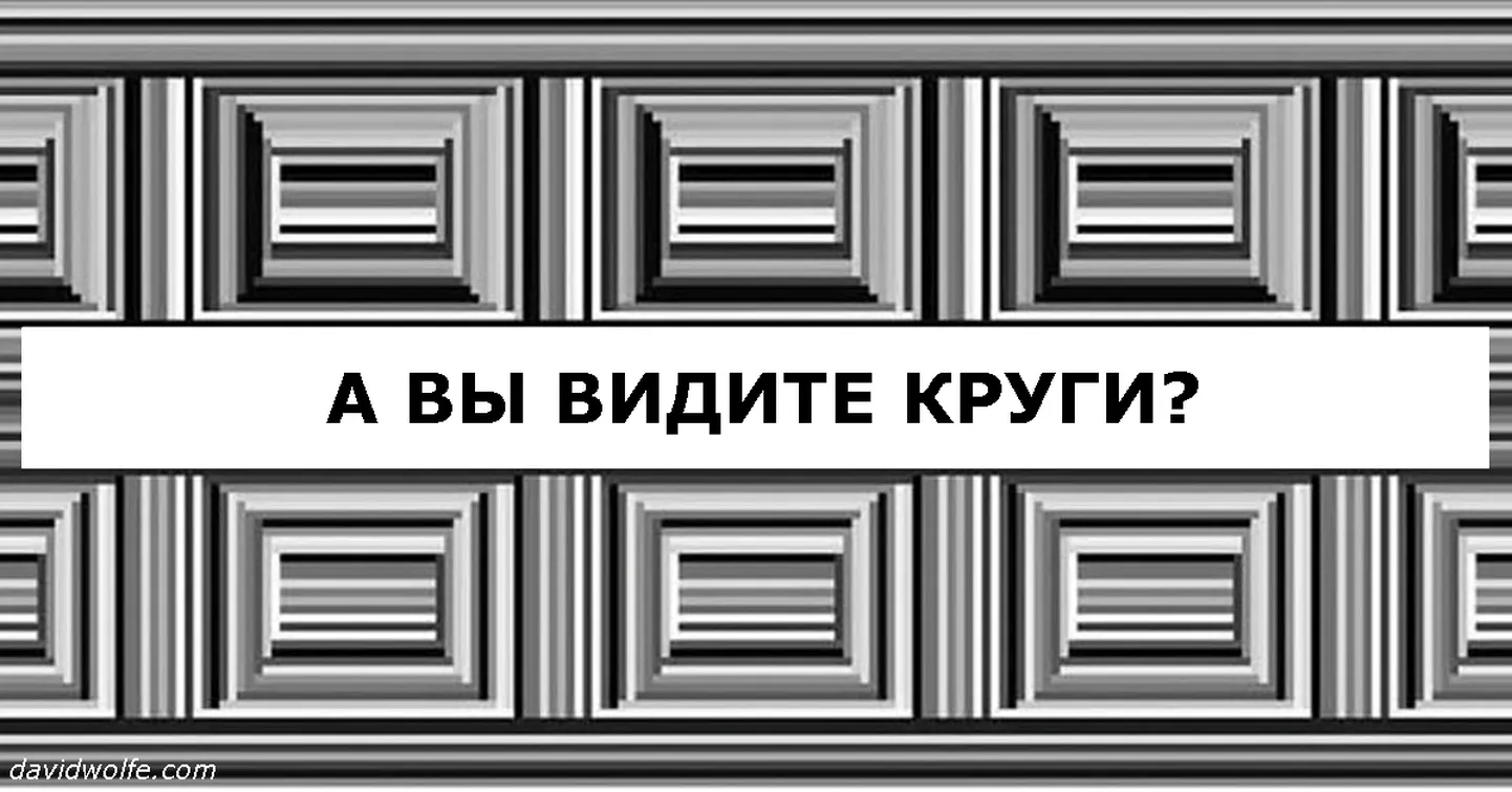 Фото статьи