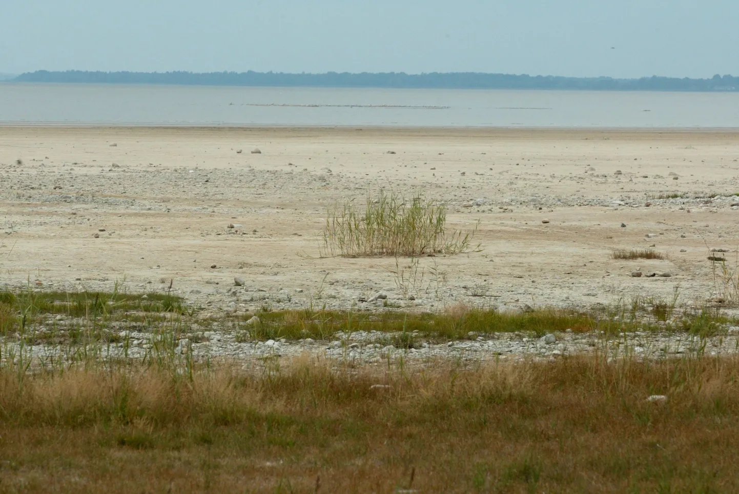 Võrtsjärv.
