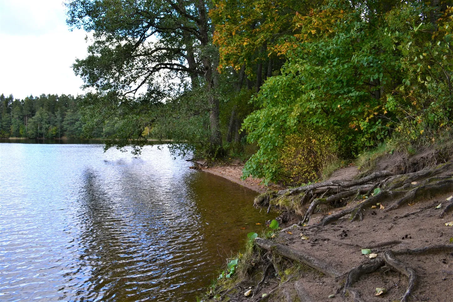 Keskkonnaameti juhtmõte "Mida vähem inimesi, seda parem loodusele" kehtib ka Uljaste järve piirkonnas.