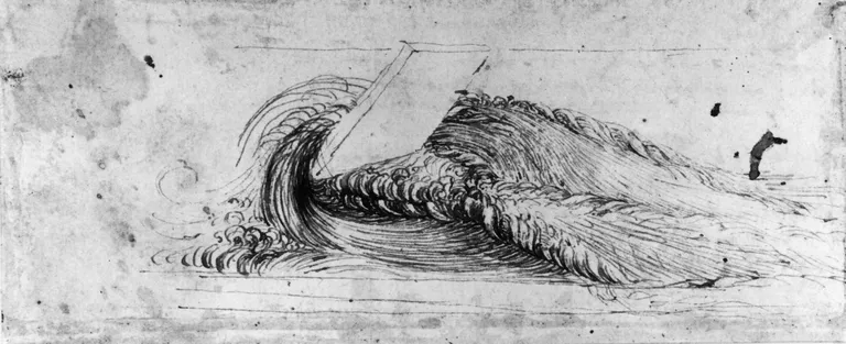 Veehoovus. Leonardo da Vinci joonistus.