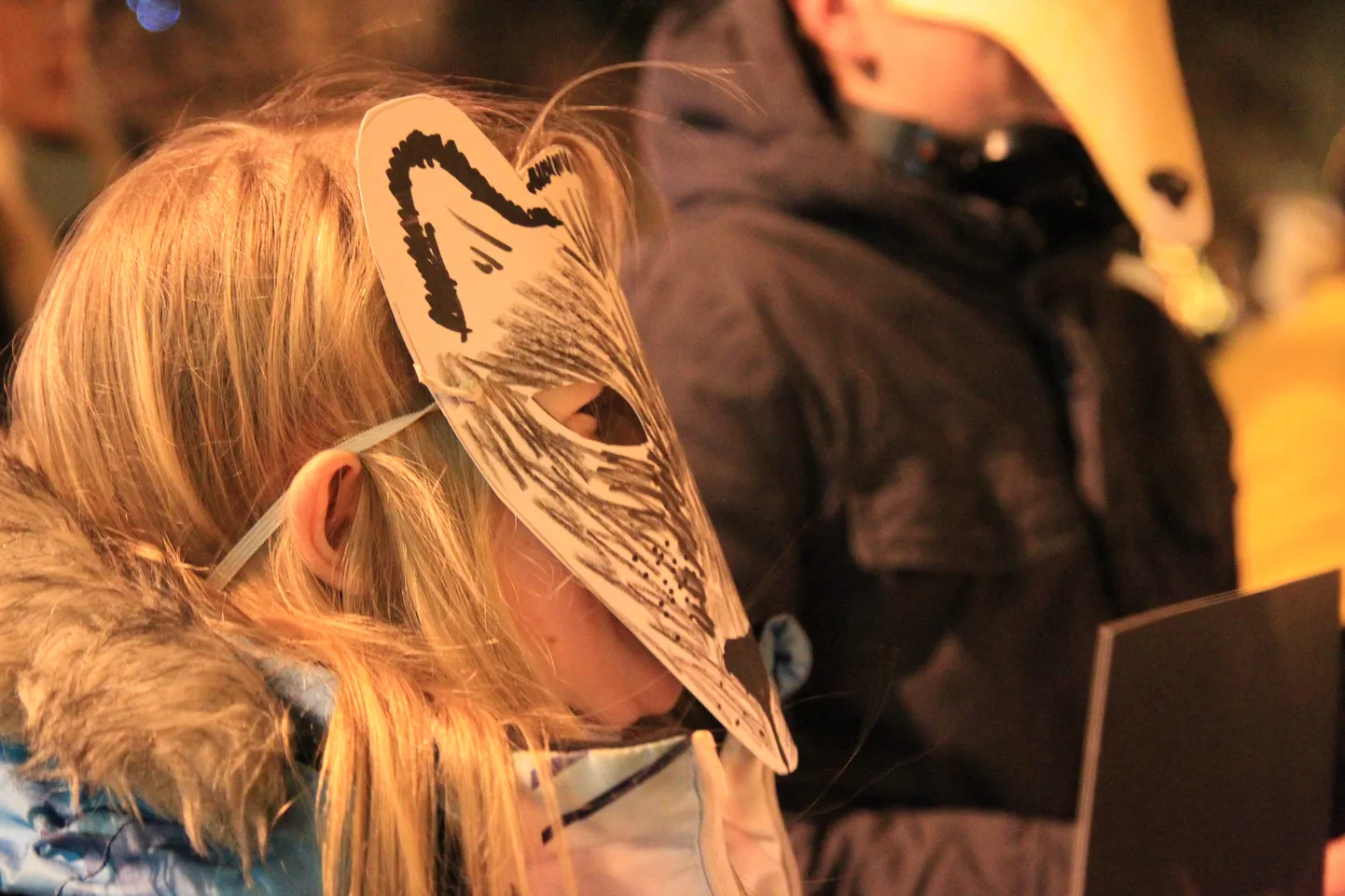 Fotojäädvustus 2015. aasta meeleavaldusest Tartus.
