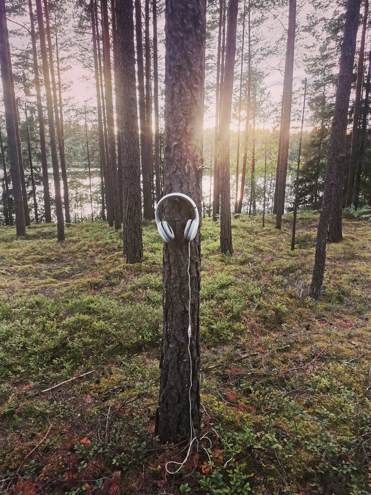Raksta foto