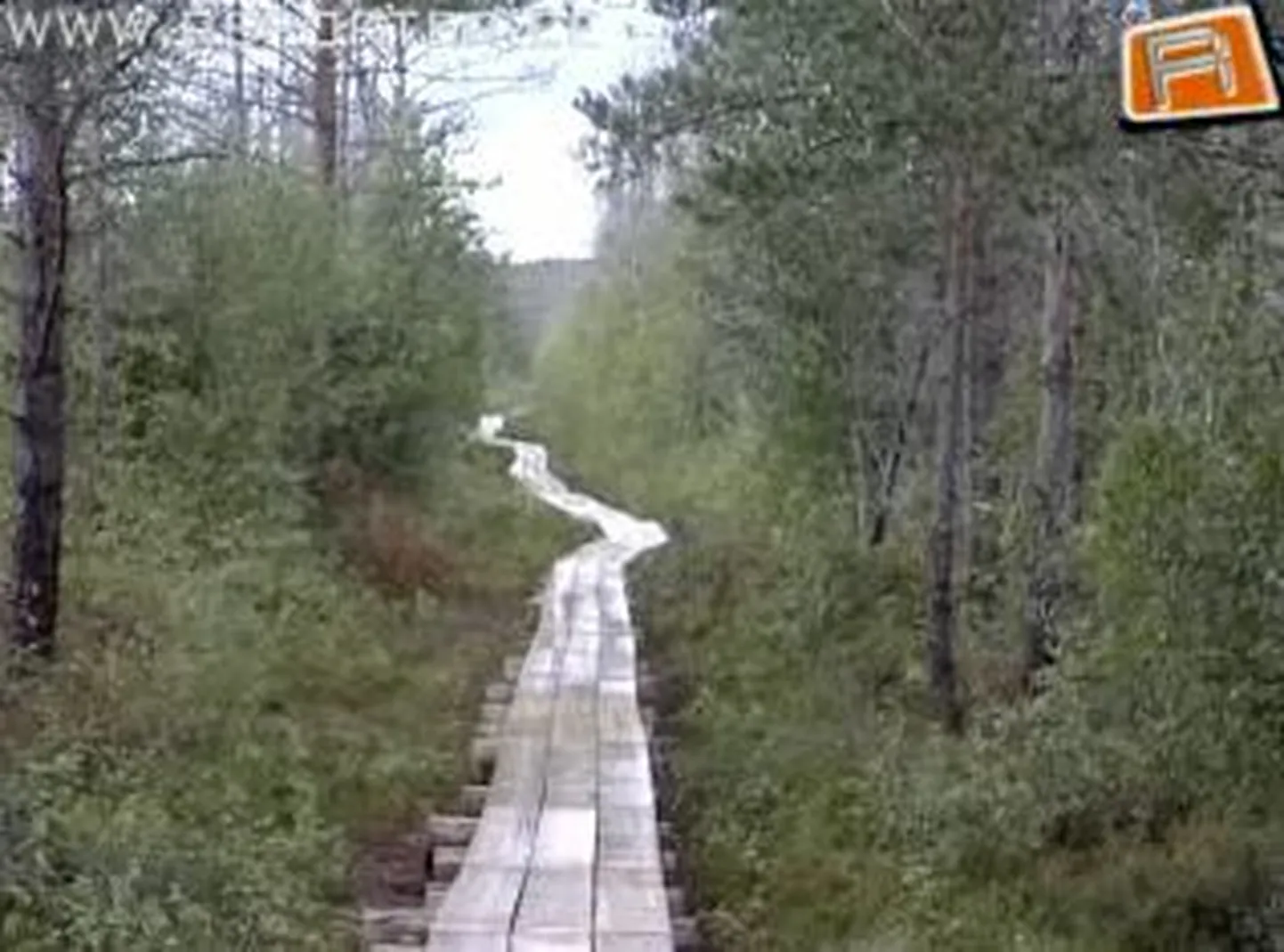 Täna öösel üritati varastada Pääsküla rabatorni viiva laudtee materjali.
