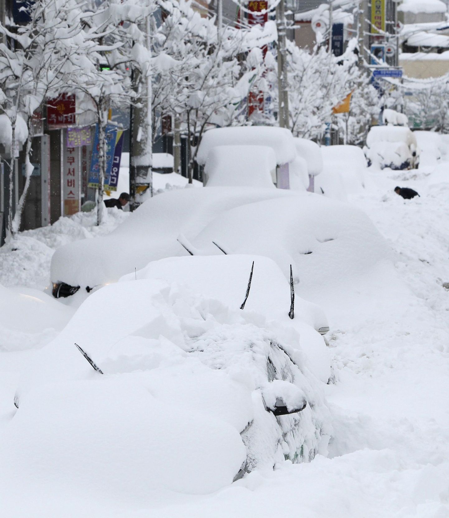 Rekordiline lumesadu Lõuna-Koreas.