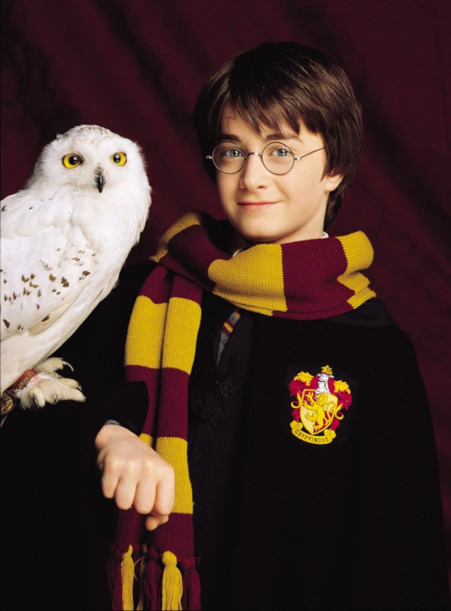 Harry Potter (Daniel Radcliffe) ja tema ööküll Hedwig.