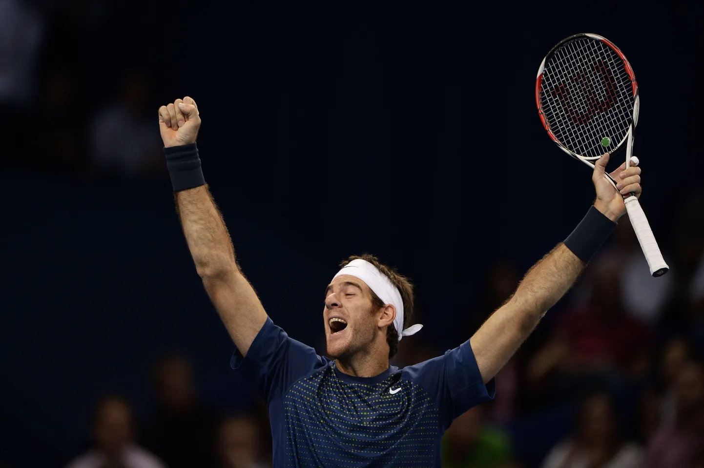 Juan Martin Del Potro.