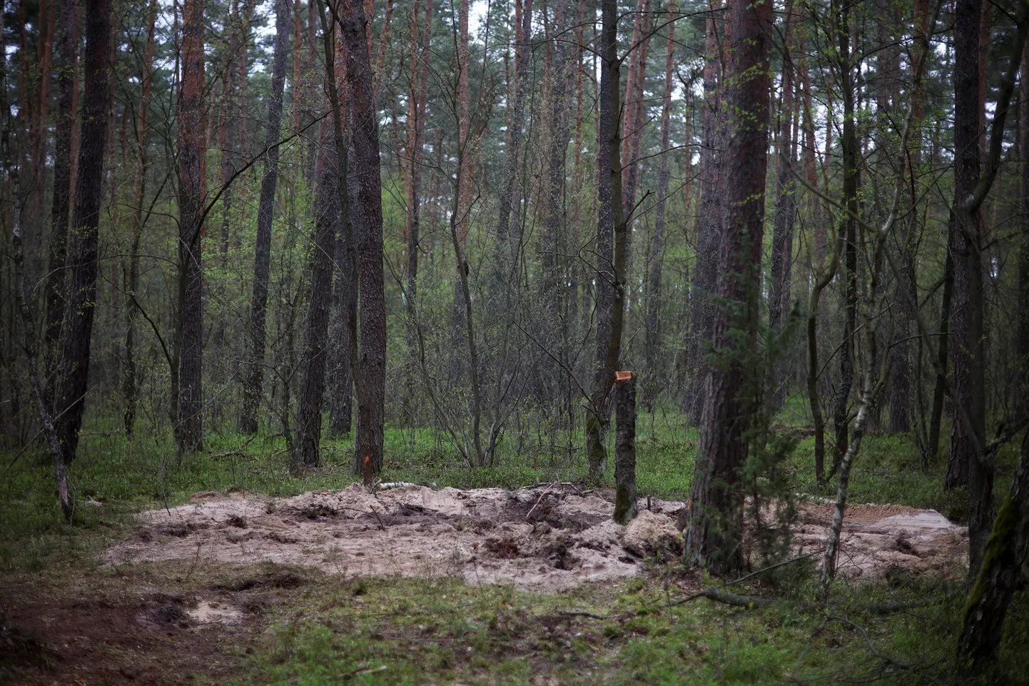 В западной части Польши в декабре упала российская крылатая ракета