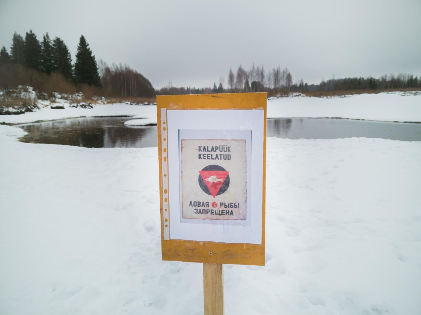 Püüki keelavad sildid Porkuni järve jääl entusiastlikke harrastuskalamehi kahjuks eemal ei hoia.