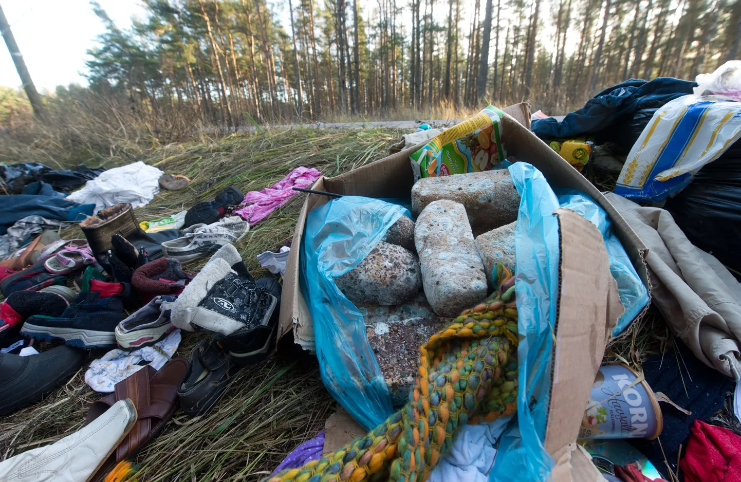 Stiilinäide ületarbimisest: pärast pole asjadel enam kohta mujal kui prügimäel või metsatukas.