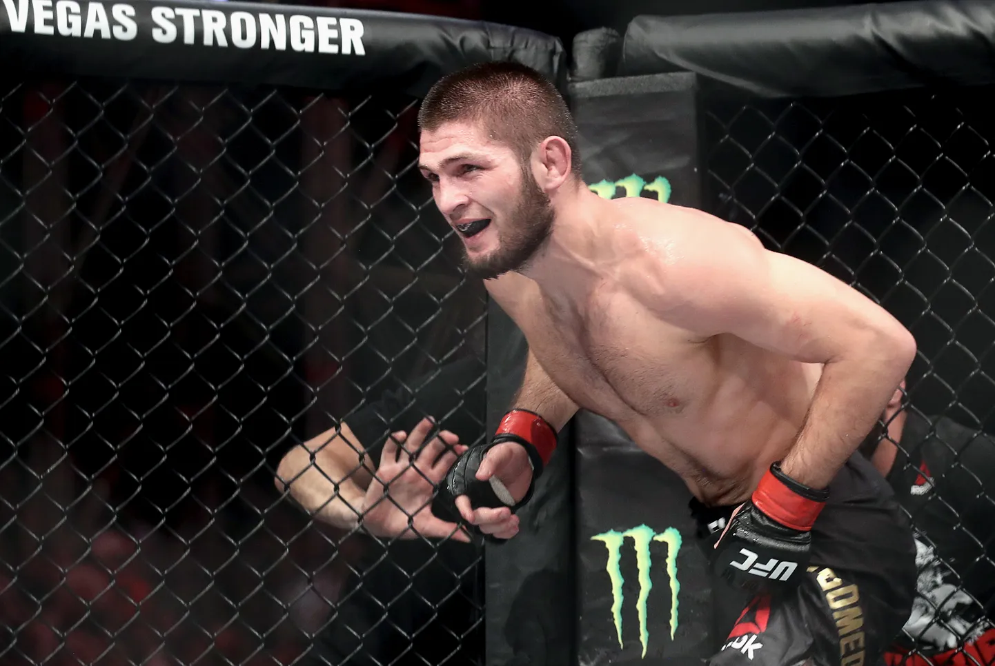 Habib Nurmagomedov.