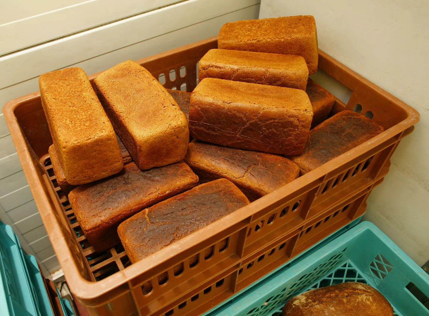 Populaarset Pärnu leiba müügilettidelt praegu ei leia.