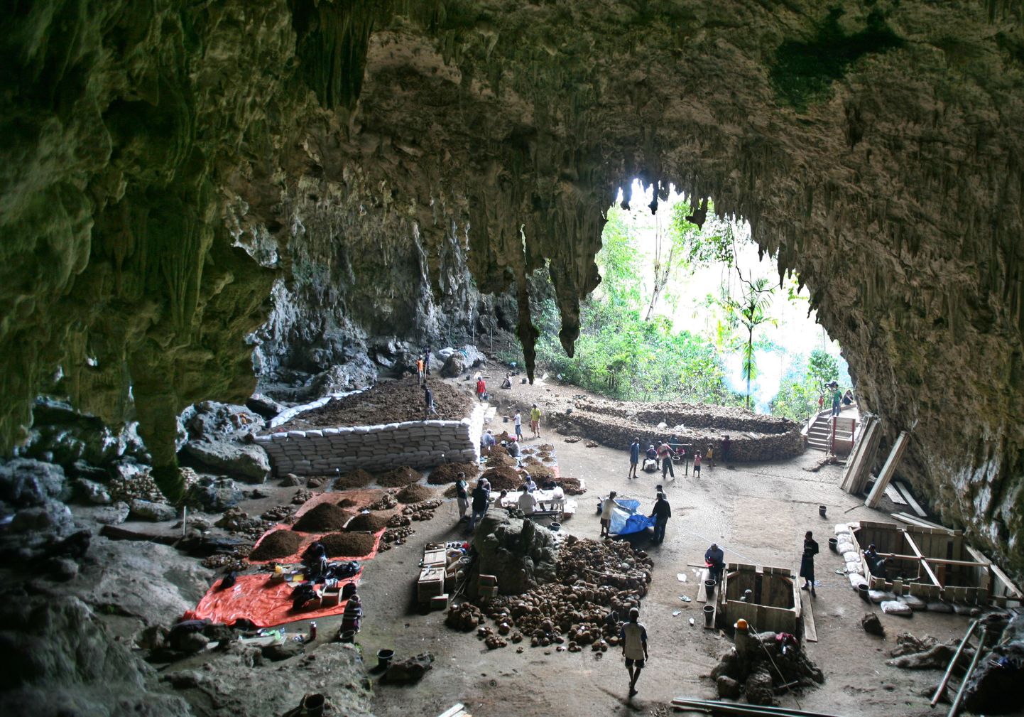 Liang Bua koobas Florese saarel, kust leiti ka Homo floresiensise jäänused.