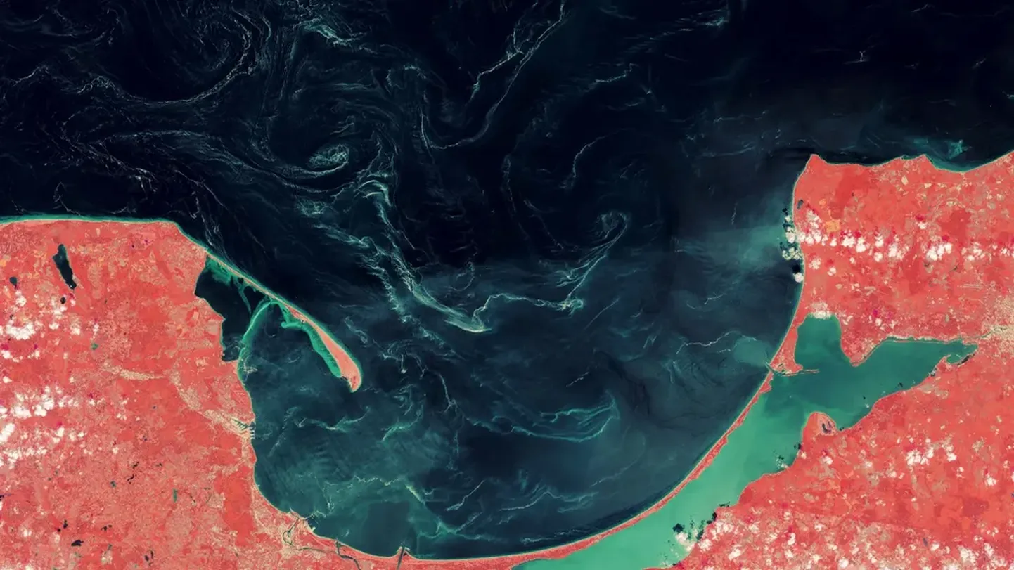 See satelliidipilt toob esile orgaanilise materjali keerlevad kihid Gdański lahel 2018. aastal. Teadlased said alles 5 aastat hiljem aru, mis see oli.