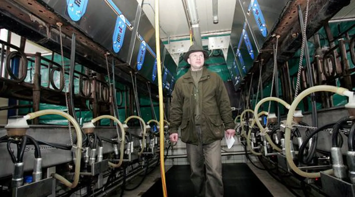 Kaarli Farm OÜs juhib tootmist Kristjan Mitt. Farmis  peetakse üle 400 lehma, keskmine piimatoodang lehma kohta oli eelmisel aastal 9522 kilo, millega tuldi  Lääne-Virumaal viie edukaima hulka.
