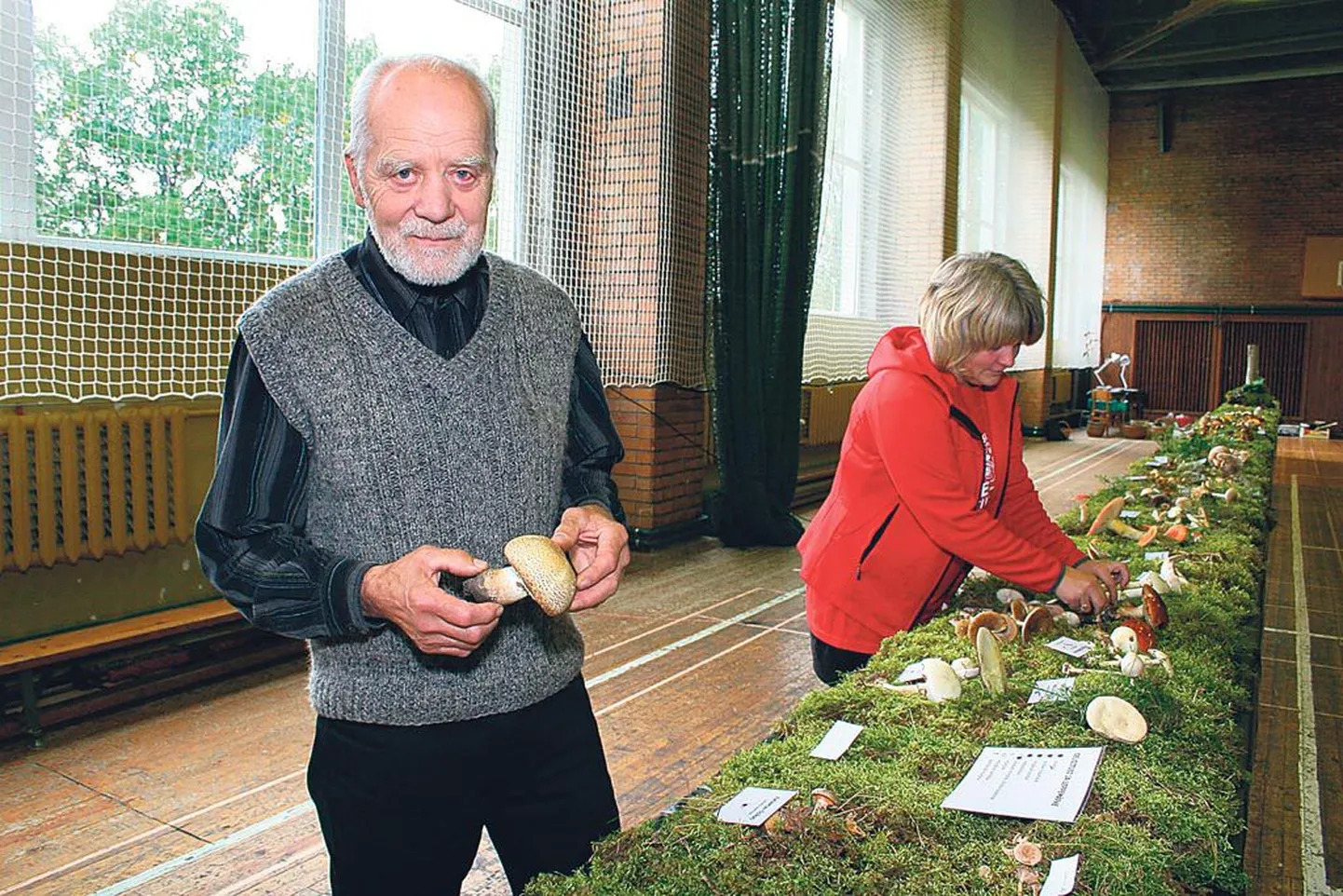 Mükoloog Vello Liiv uurib Pärnust korjatud ja Tihemetsa spordihoonesse näitusele toodud haruldast kuningšampinjoni, mida kodumaal on varem leitud vaid paaril korral.