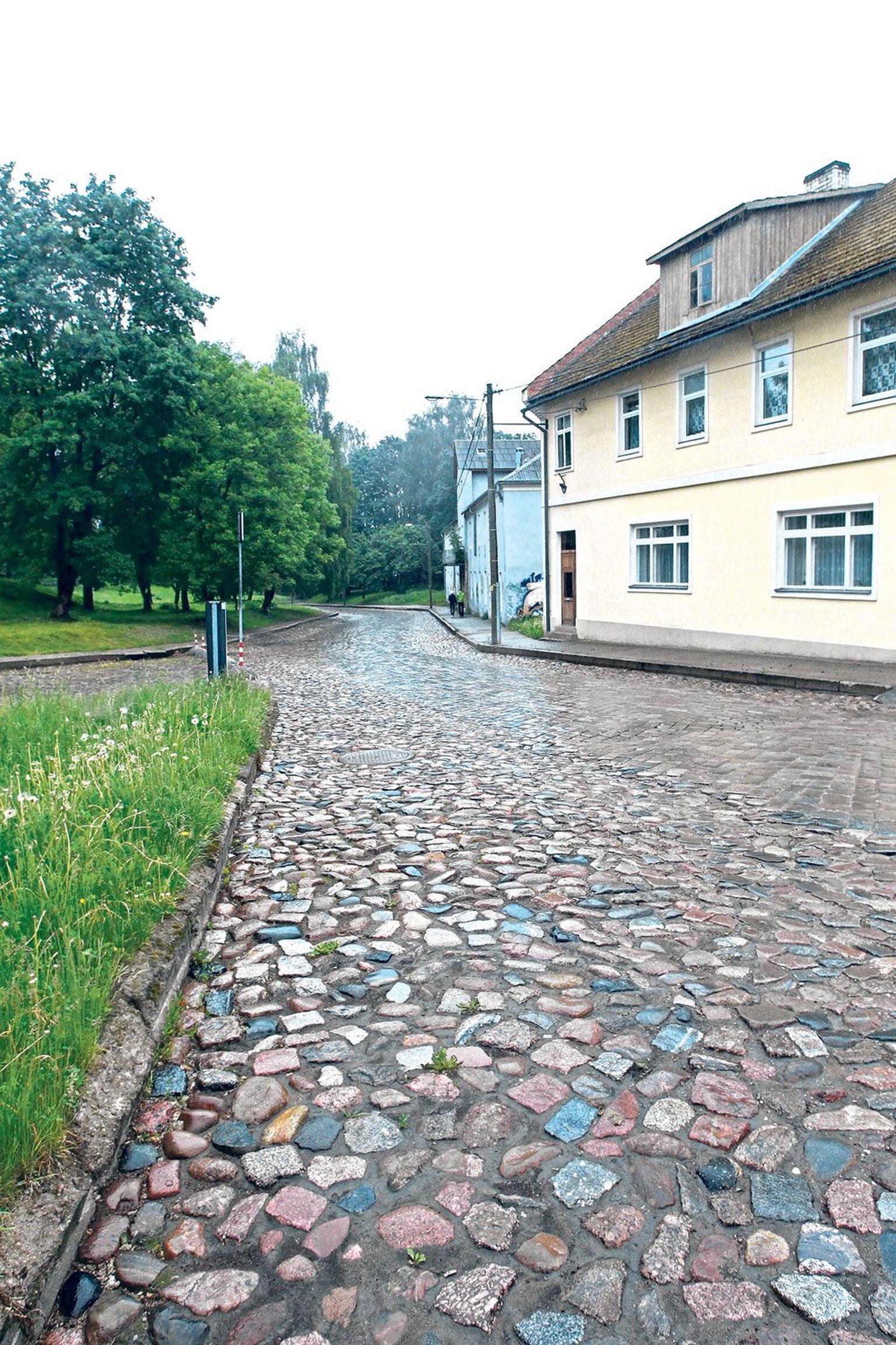 Pargi tänava uuenduskuuri hakatab sel kuul AS Tartu Veevärk, kes paigaldab sinna uued vee-, kanalisatsiooni- ja sademeveetorud. Juuli keskel alustatakse teetöödega.