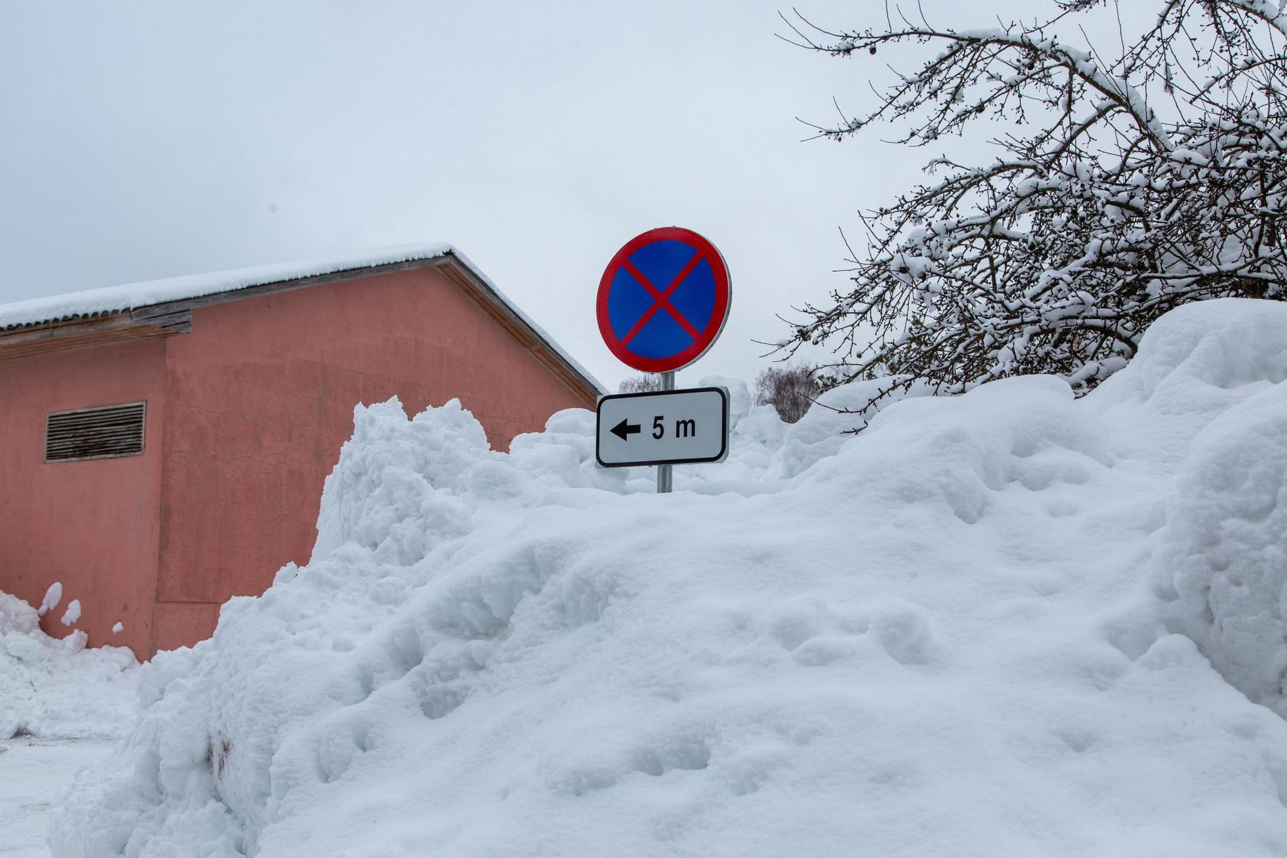 Lumerohke talv uputas liiklusmärgid lumme. Mõned neist vajusid lume raskuse all külili, mõned läksid lömmi.