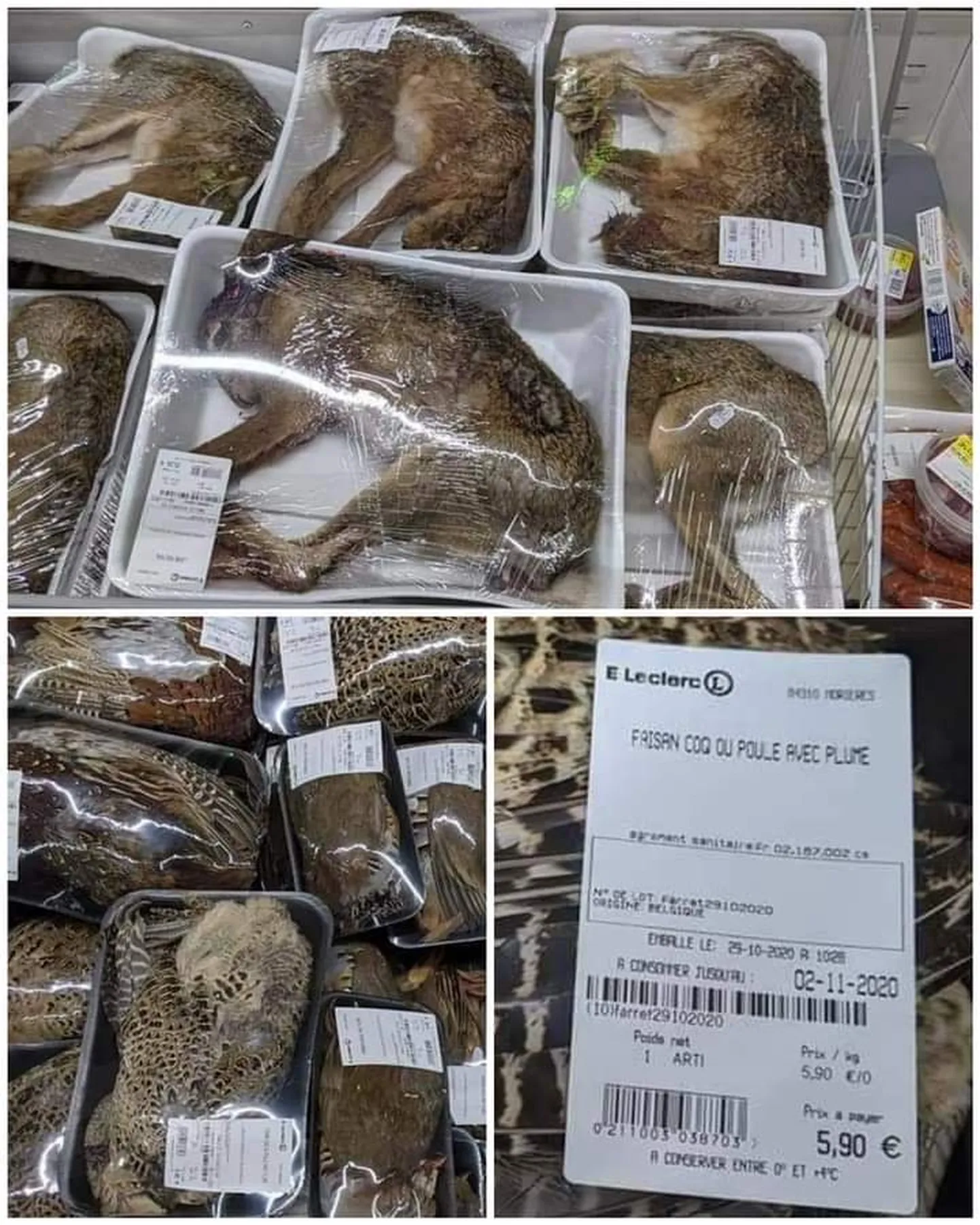 Artikli foto