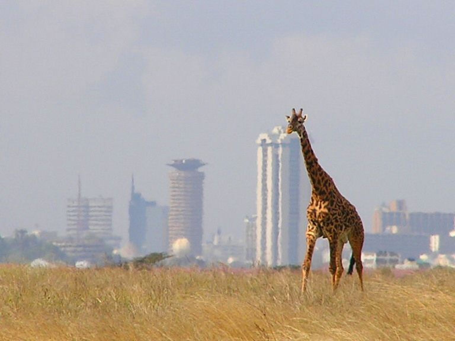 Nairobi rahvuspark.