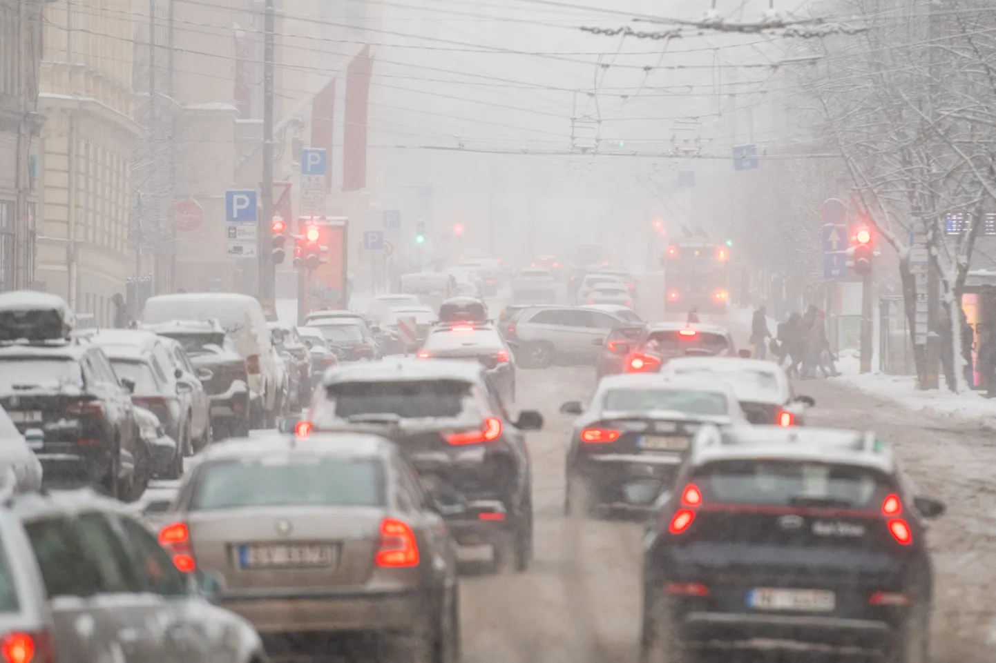 Снег в Риге